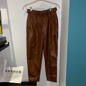 Aritzia leather pants
